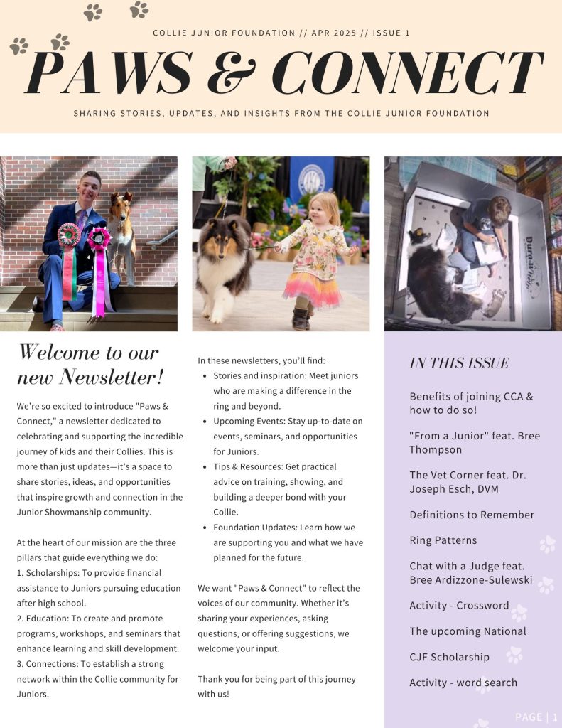 COLLIE JUNIOR FOUNDATION 2025 ISSUE 1